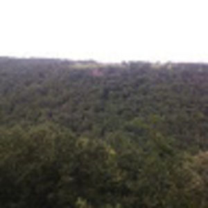 Meet your Posher, Edmond